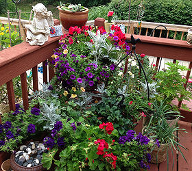 a fourth of july celebration in flowers, container gardening, flowers, gardening, Red White Blue Container Plantings
