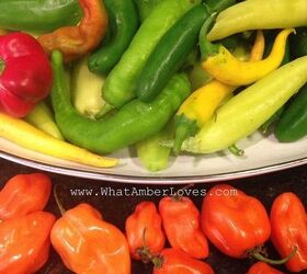 diy pepper flakes garden to table, homesteading