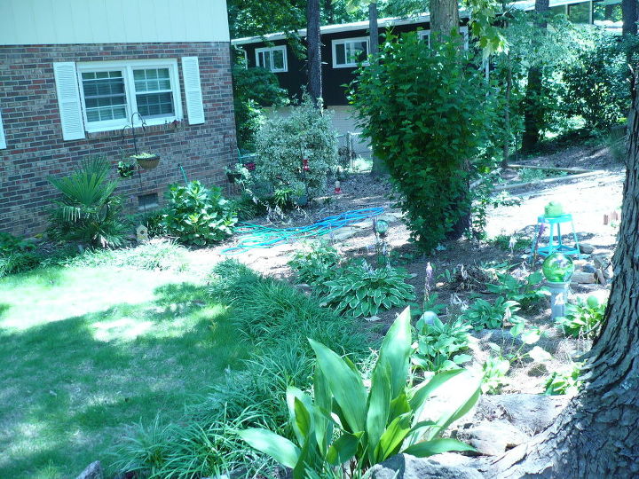 hostas side yard in progress this is becoming an ongoing project, gardening