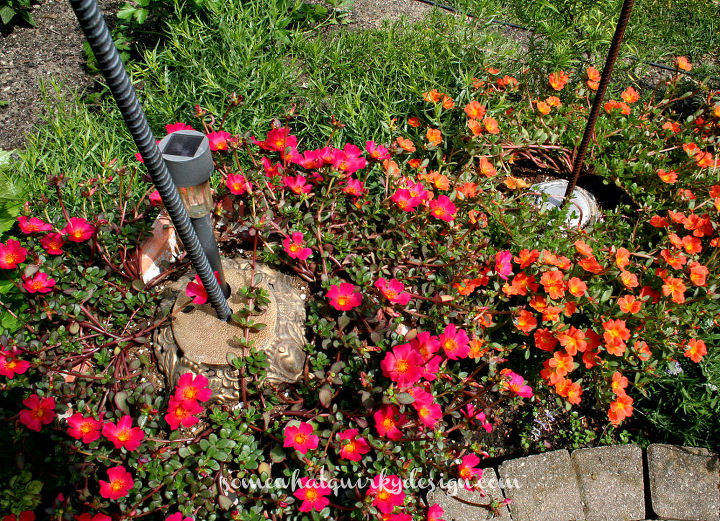 i ve added to my glass globe collection and have some new totems
