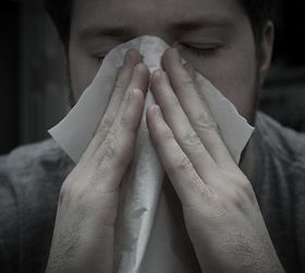 suffering use these tips to beat allergies both indoors and outdoors