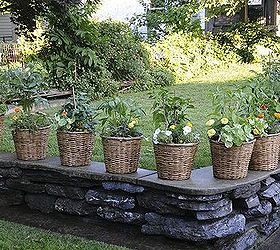 style functionality our 2014 container garden, container gardening, gardening