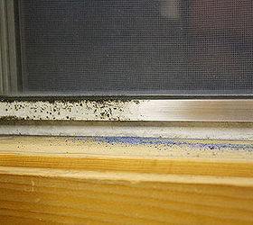 aluminum window frames cleaning restoring, cleaning tips, windows