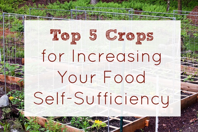 crops food self sufficiency, gardening, homesteading