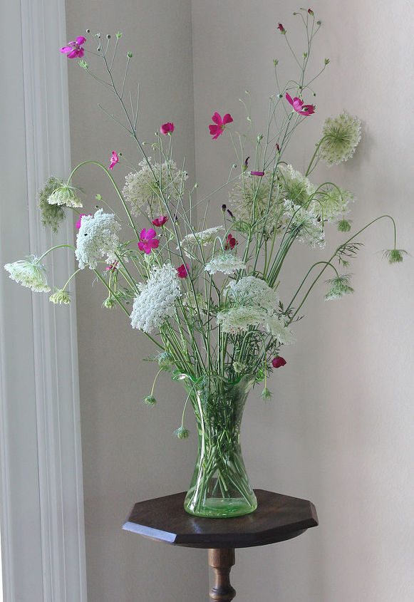 queen anne s lace and poppy mallow wildflowers, flowers, gardening, home decor, shabby chic