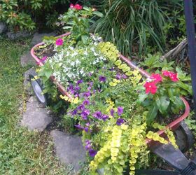 my wagon flower bed in the beautiful blue ridge mountains in va, flowers, gardening, repurposing upcycling
