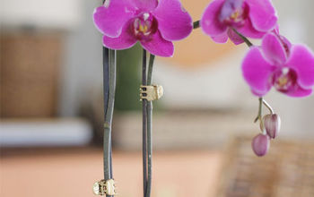 DIY Gold Orchid Clips