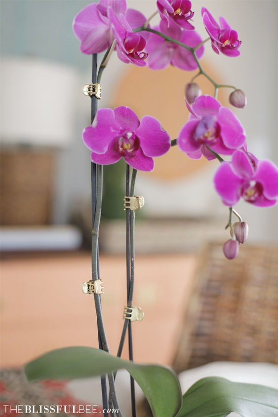 diy gold orchid clips, flowers, home decor