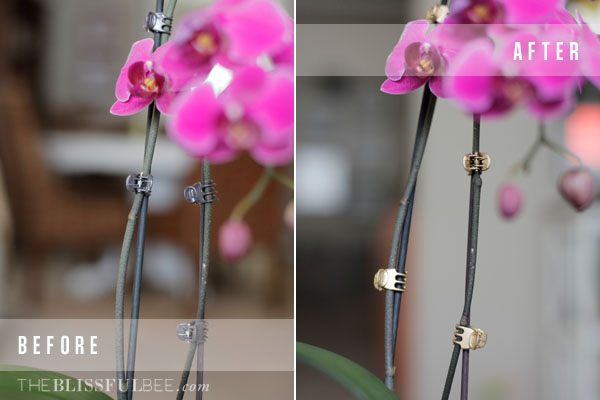 diy gold orchid clips, flowers, home decor