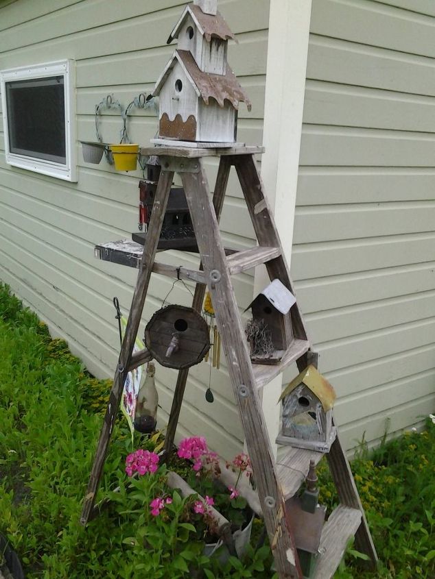 old wooden ladder, flowers, gardening, repurposing upcycling