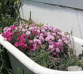 tub of pink carnations, flowers, gardening, repurposing upcycling