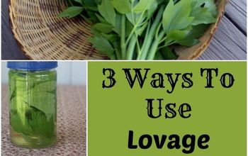 3 Ways to Use Lovage