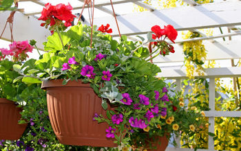 Different Types of Plant Pots to Try Out