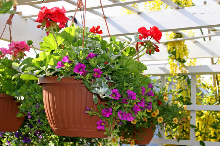 different types of plant pots to try out, container gardening, gardening