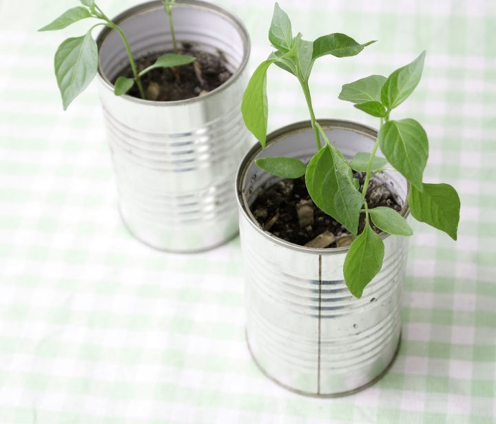 different types of plant pots to try out, container gardening, gardening