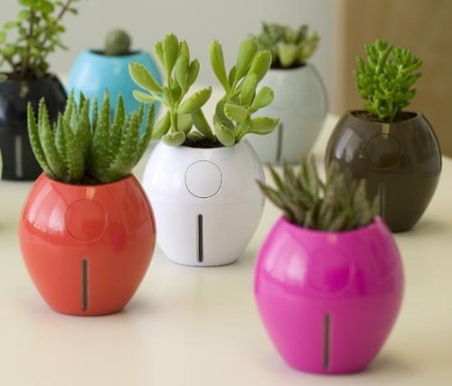 different types of plant pots to try out, container gardening, gardening, Photo courtesy of