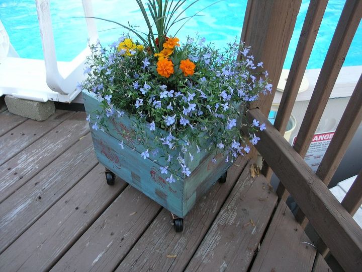 wooden flower pot, container gardening, crafts, flowers, gardening, repurposing upcycling