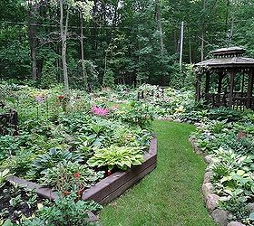 an early july backyard shade garden walk in green bay wi, gardening, landscape, outdoor living