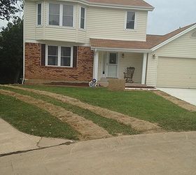 help suggestions, curb appeal, gardening, landscape