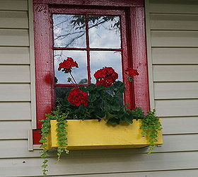 west virginia garden backyard, container gardening, flowers, gardening, outdoor living, Windowbox on an old outbuilding