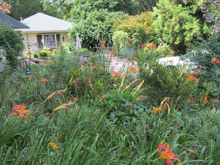 garden backyard flowers georgia, flowers, gardening, landscape, Lily garden looking down at end of house