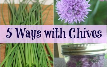 5 Ways to Use Chives