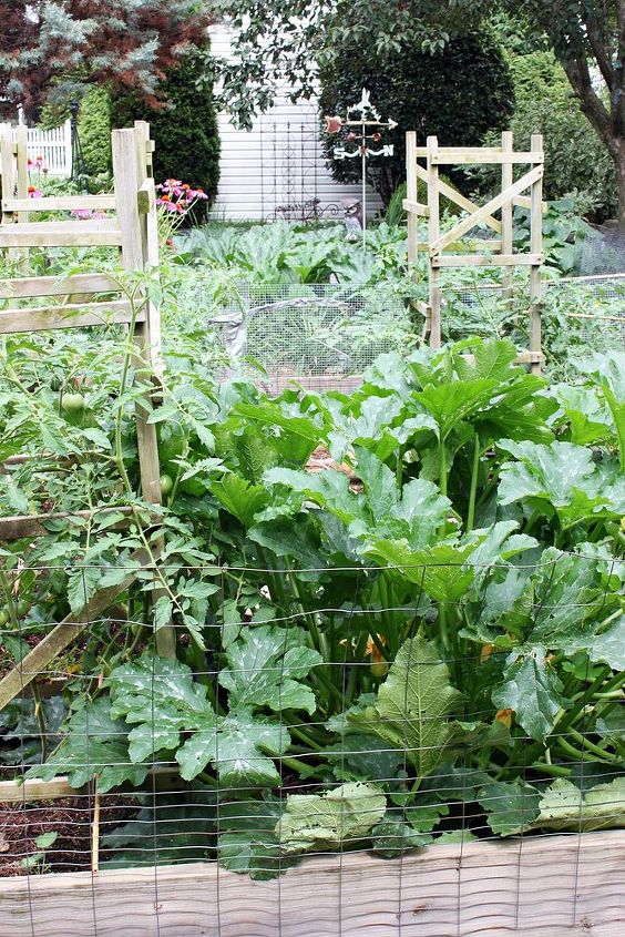 vegetable garden grow your own, gardening