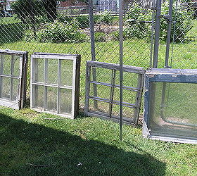 Greenhouse Built From Old Window Frames | Hometalk - Organic Glass House Window Frames
