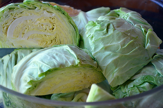 cabbage garden harvest tips, gardening, homesteading