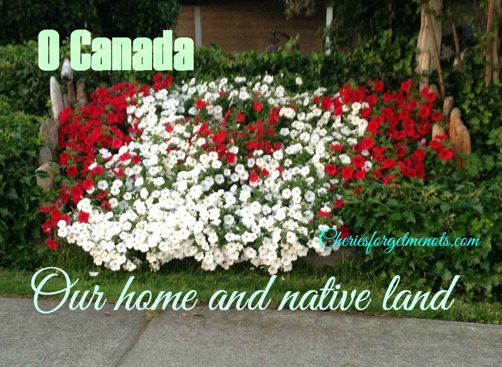 canada show your colours, flowers, gardening, outdoor living