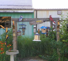 bird feeding station, gardening, outdoor living