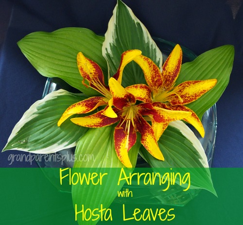 arranjos florais com folhas de hosta