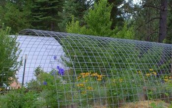 DIY Greenhouse With Hog Panels