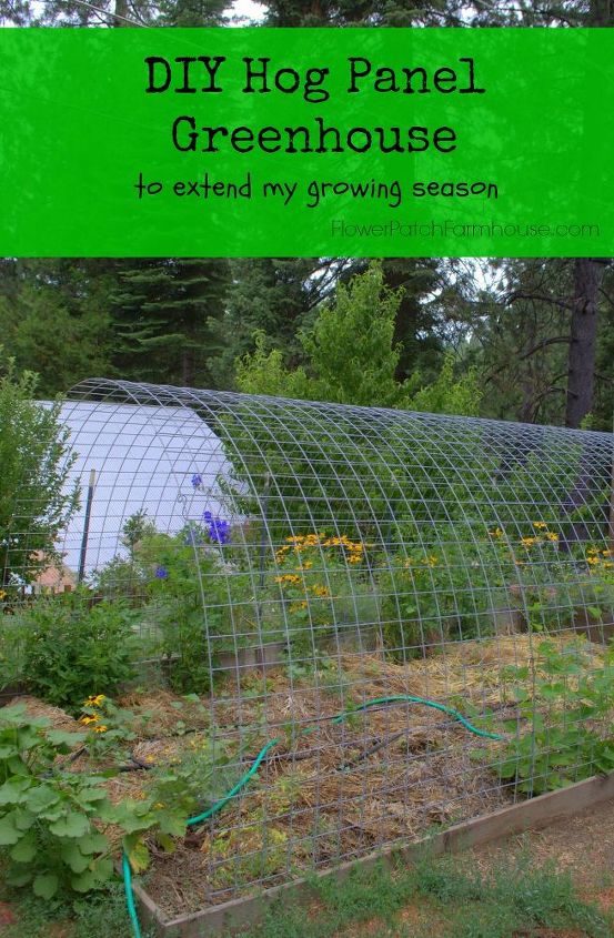 greenhouse hog panels how to, diy, gardening