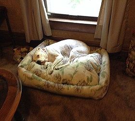 making a dog bed from her favorite old comforter