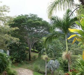 landscape florida tropical garden, flowers, gardening, landscape