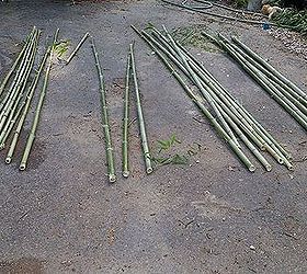 create a bamboo pergola arbor for 10