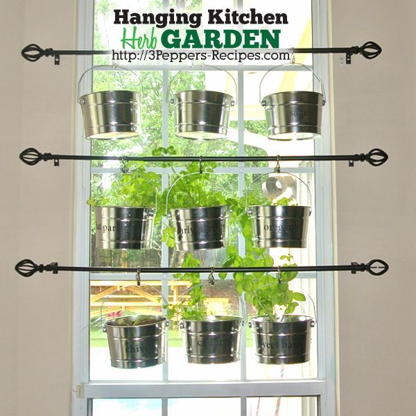 herb kitchen hanging garden rods, container gardening, gardening, kitchen design