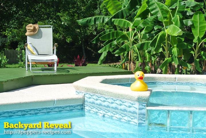 deck backyard florida expand, outdoor living, patio, pool designs