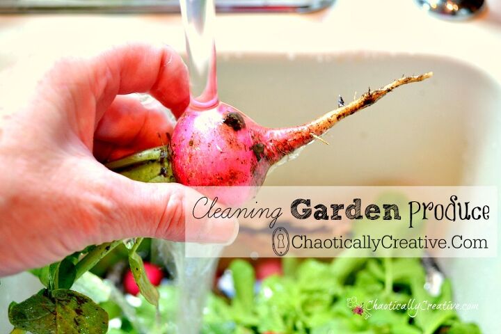 produce cleaning garden natural tips, homesteading