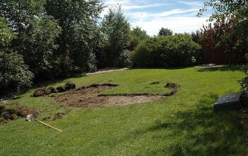 ¿Cómo mejorar un patio trasero?  ¡Añade un bonito estanque!