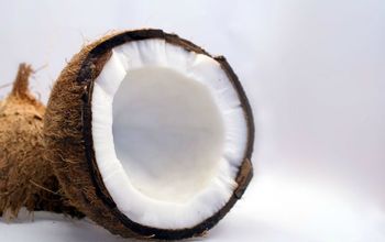 42 Surprising Uses for Coconut Oil