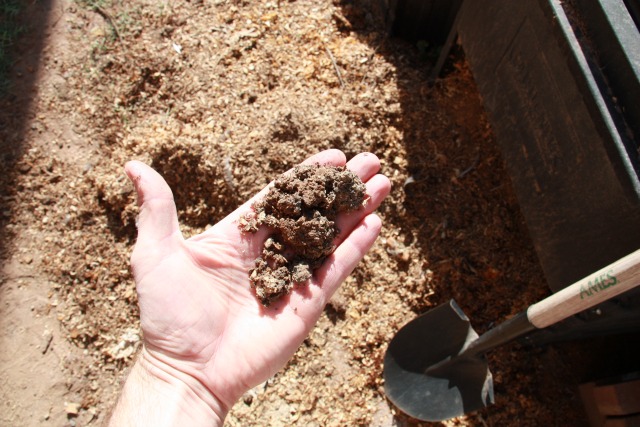 composting temperature heat facts, composting, gardening, go green