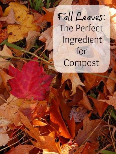 composting 101 the nitty gritty about rotting scraps