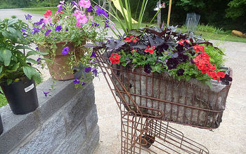 Old Shopping Cart Full of Flowers!