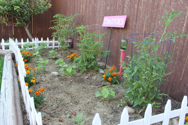 gardening update backyard colorado, flowers, gardening
