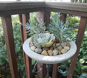 succulent birdbath candleholder repurpose garden, container gardening, flowers, gardening, repurposing upcycling, succulents
