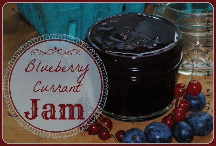 jam blueberry currant gardening, homesteading