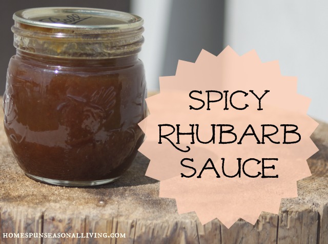 spicy rhubarb sauce, homesteading