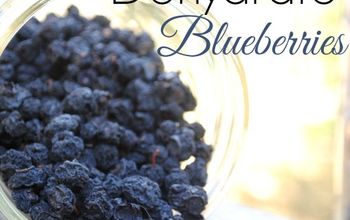Preserve Your Blueberry Harvest By Dehydrating